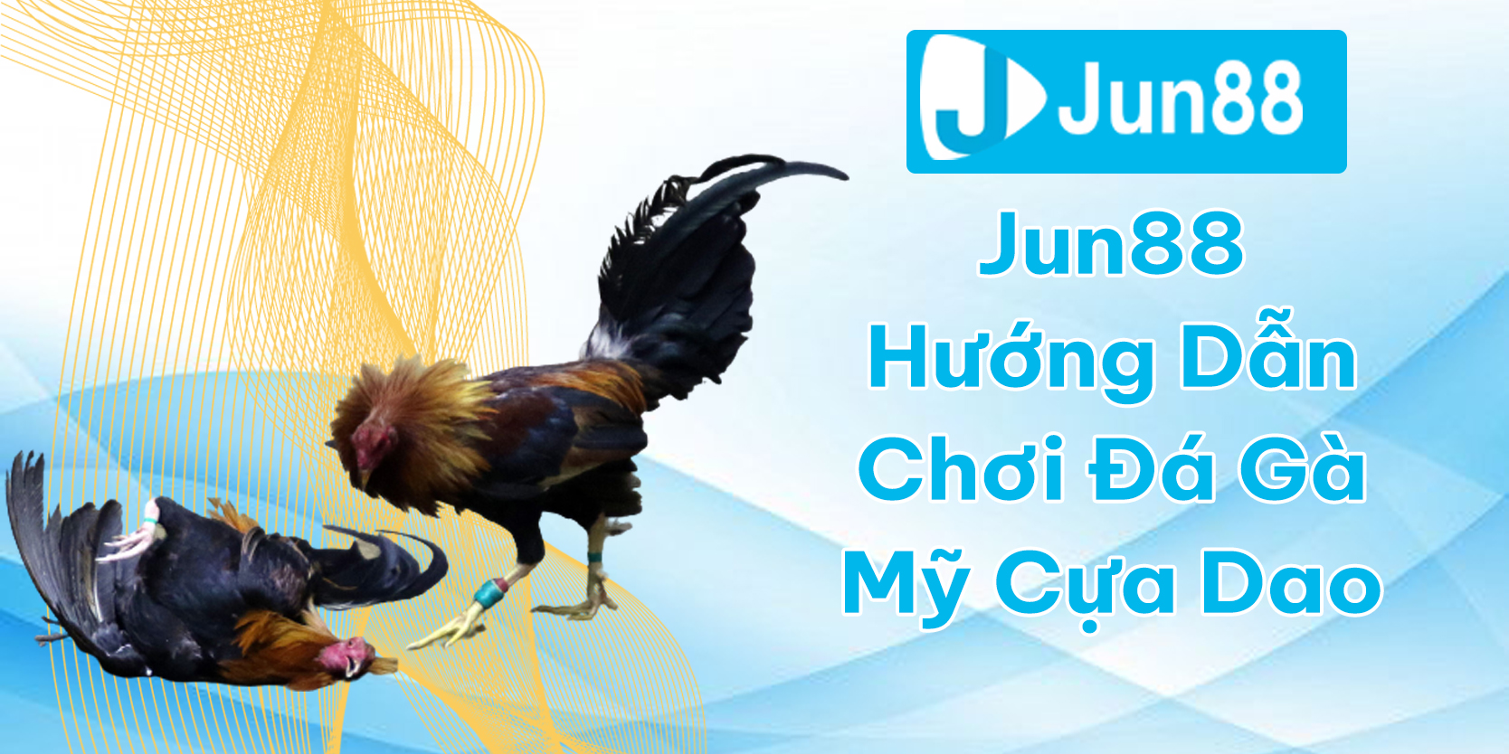 Jun88 Hướng Dẫn Chơi Đá Gà Mỹ Cựa Dao Trực Tuyến Hiệu Quả