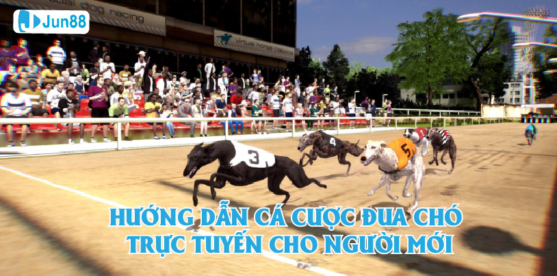 Jun88 Hướng Dẫn Bài Bản Cá Cược Đua Chó Trực Tuyến Cho Người Chơi Mới