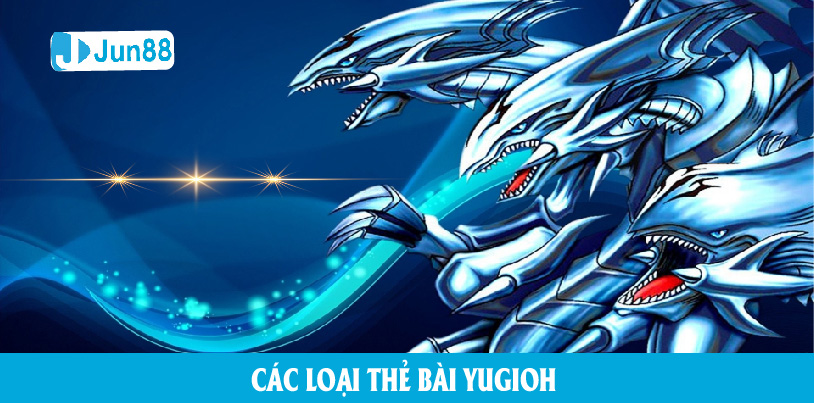 Hướng dẫn cách chơi bài Yugioh - các loại thẻ bài